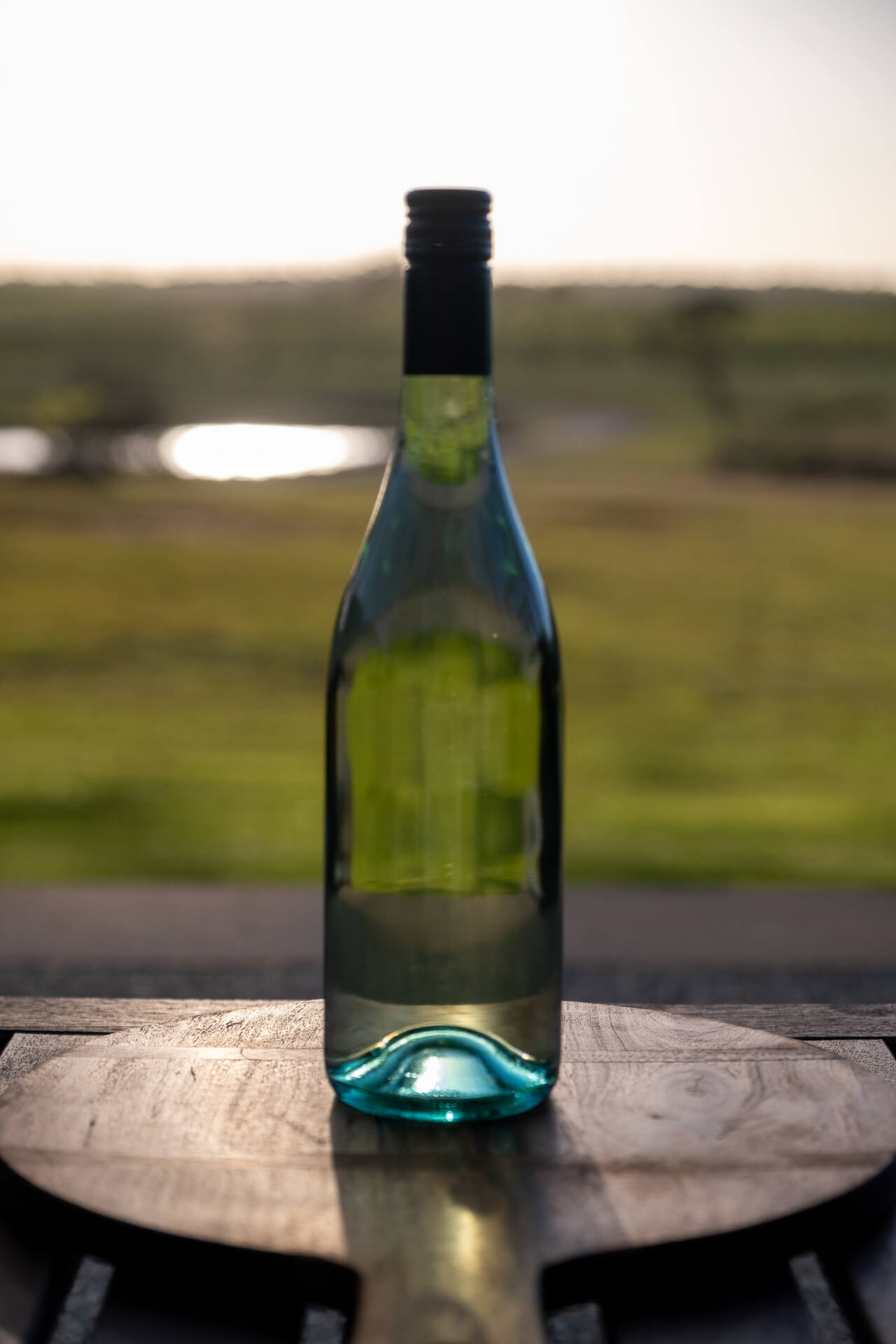 hunter-valley-wine-verdelho